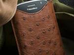 Blackberry Luxury by AMOSU