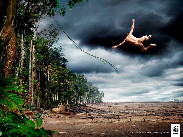 Save the rainforests