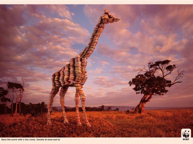Donate to the WWF campaign