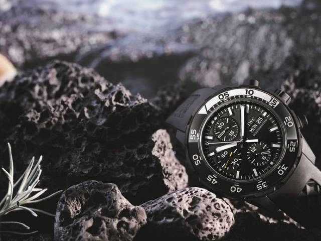 IWC Schaffhausen is proud to support the Charles Darwin Foundation