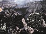 IWC Schaffhausen is proud to support the Charles Darwin Foundation