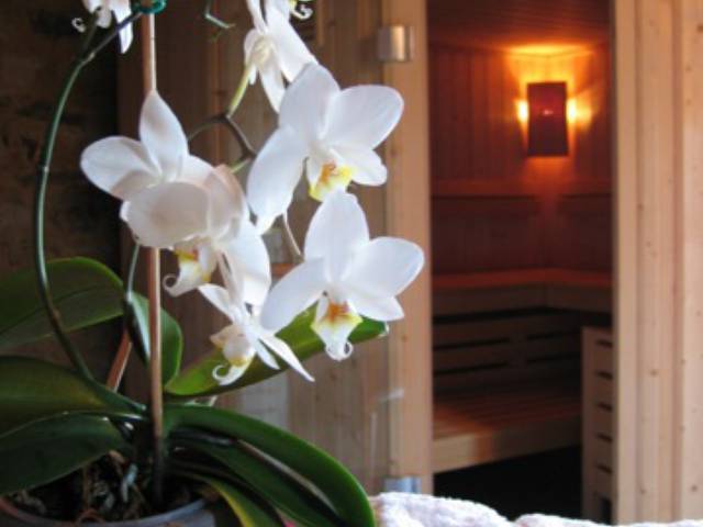 The Arvin Avel mansion has three rooms and one suite offering originality in comfort