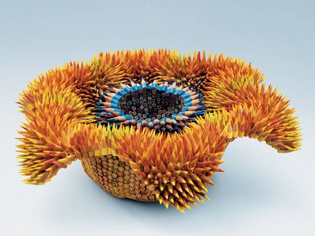 Asteridae ~ Every signature saves our seas