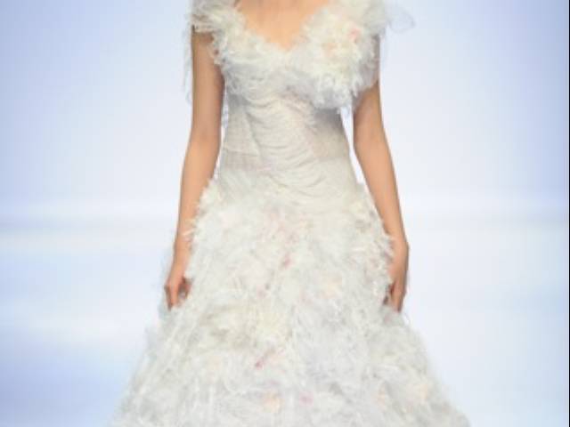 Designer Lim