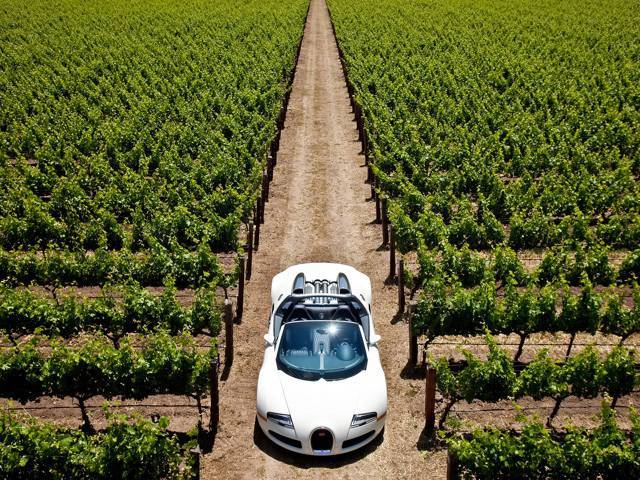 2010 Model of the Bugatti Veyron 16.4 Grand Sport
