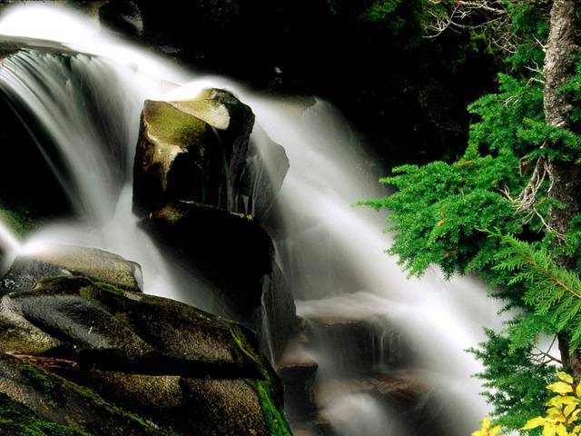 Paradise River Waterfall, Washington