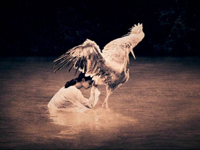 Gregory COLBERT's Ashes and Snow exhibit