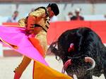 The result will energize animal rights groups bent on seeking bans in other regions of Spain.