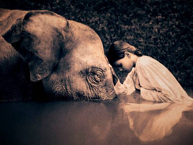 Gregory COLBERT's Ashes and Snow exhibit