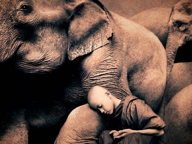 Gregory COLBERT's Ashes and Snow exhibit